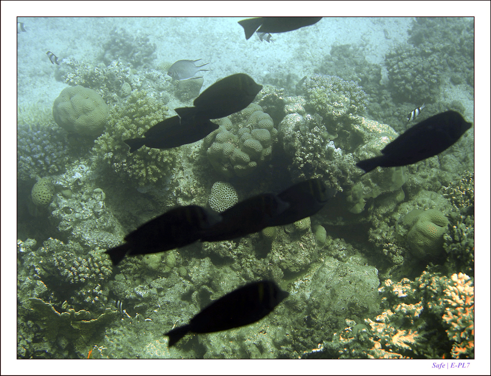 Hurghada - Juillet 2021 - 048